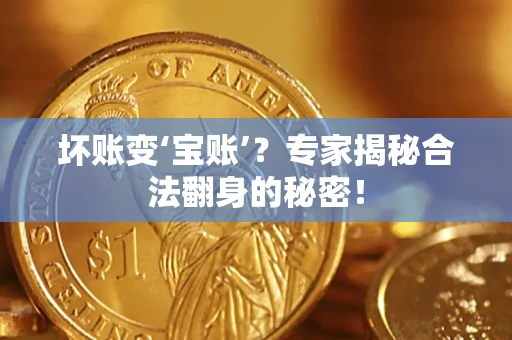 北京坏账变‘宝账’？专家揭秘合法翻身的秘密！