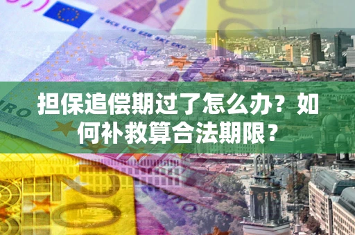 北京担保追偿期过了怎么办？如何补救算合法期限？