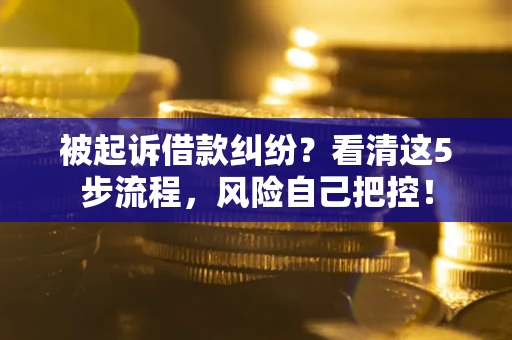 北京被起诉借款纠纷？看清这5步流程，风险自己把控！